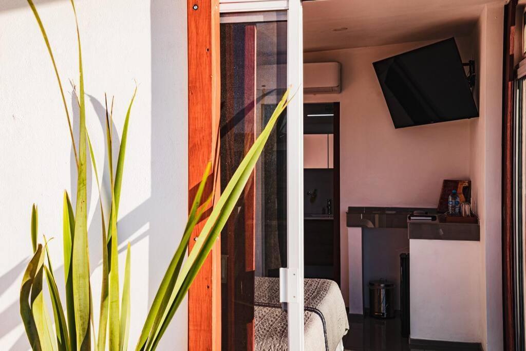 Vila Cabana El Alamo Con Jacuzzi Valle de Guadalupe Exteriér fotografie