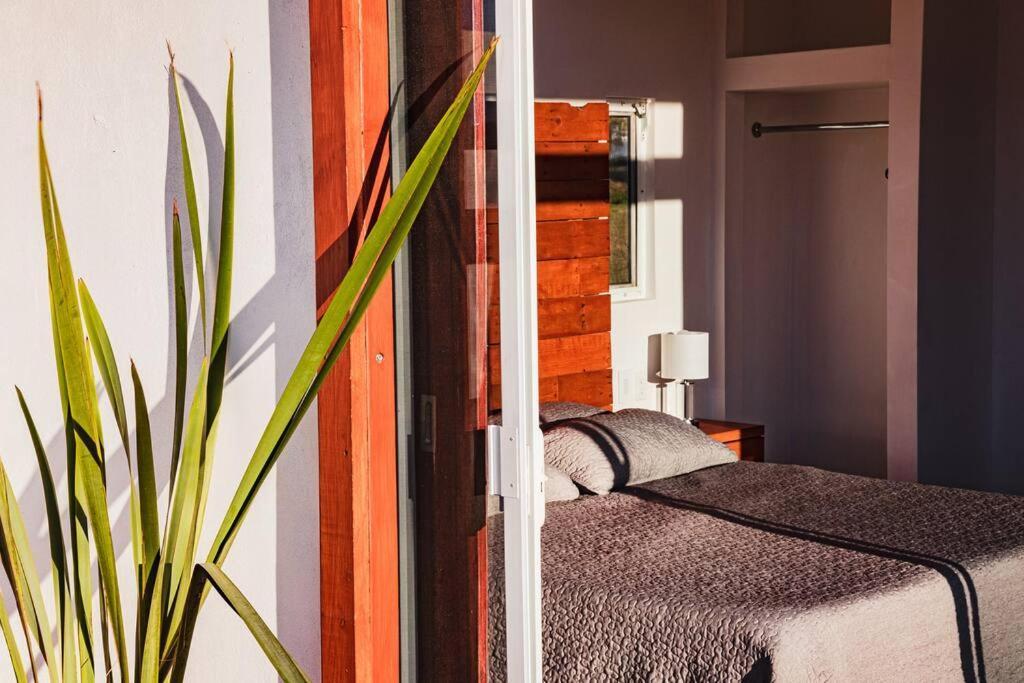 Vila Cabana El Alamo Con Jacuzzi Valle de Guadalupe Exteriér fotografie